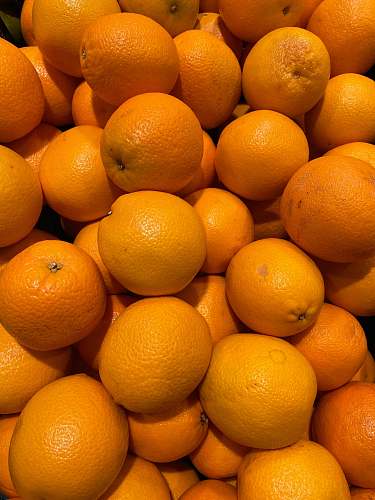 food orange fruits fruit